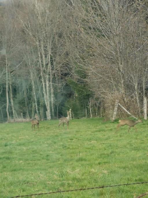 La Magie Entre Deux Lacs ジェラールメ エクステリア 写真